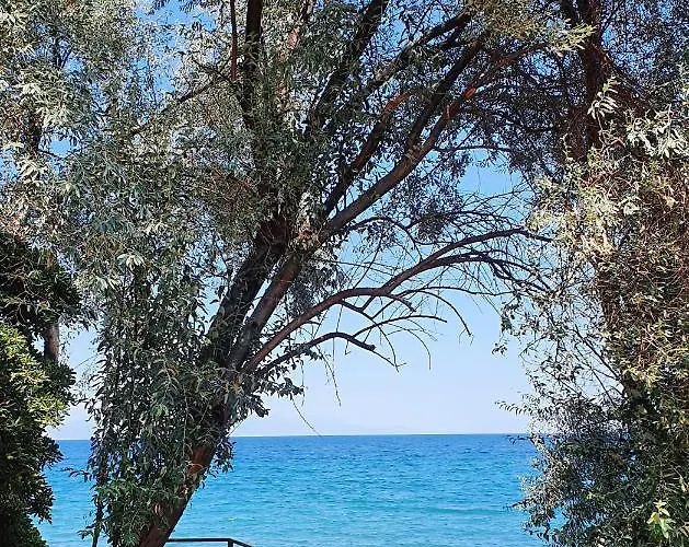 Dom wakacyjny Al-ari