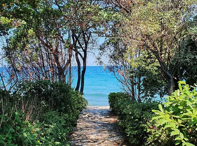 Al-ari Dom wakacyjny